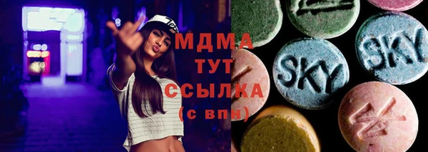 индика Володарск