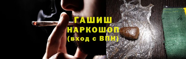 индика Володарск