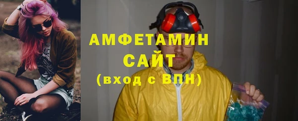 индика Володарск