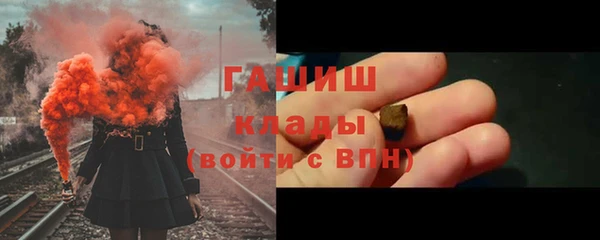 индика Володарск