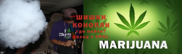 индика Володарск