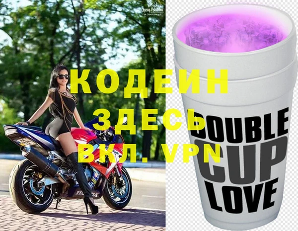 индика Володарск