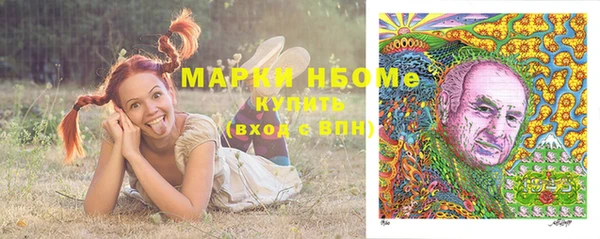индика Володарск