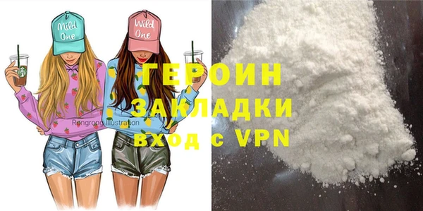 индика Володарск
