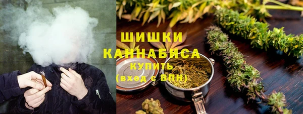 индика Володарск