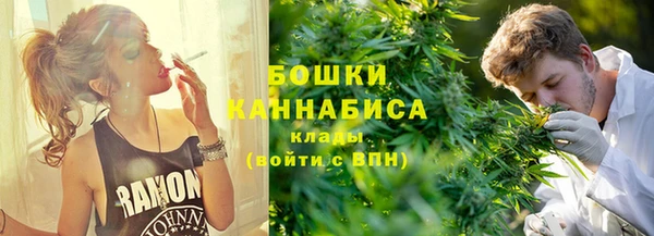 индика Володарск
