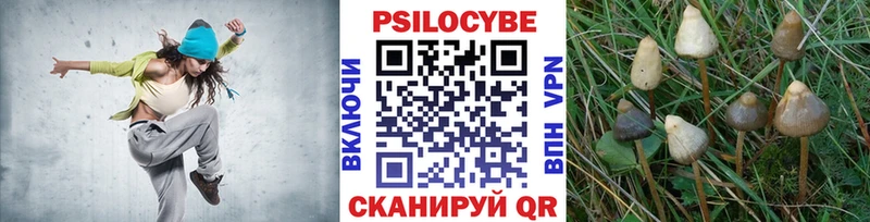 Псилоцибиновые грибы мицелий Льгов